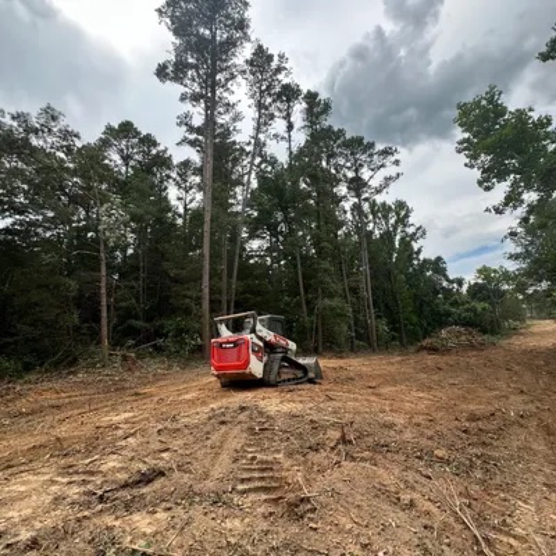 Compact track loader with mulcher attachment on cleared land among tall trees